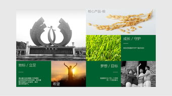 振翅高飞，共绘蓝图——百利金企业形象策划与设计方案演示